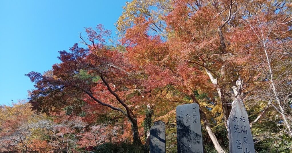 清滝駅前の紅葉