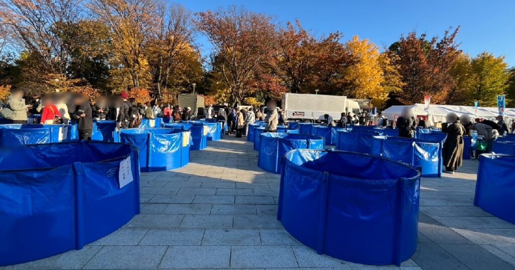 錦鯉が入っている青いビニールの水槽