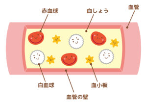 赤血球、白血球、血小板のイラスト