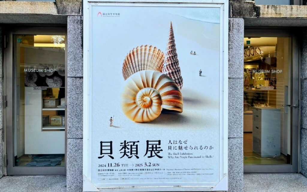 貝類展の看板