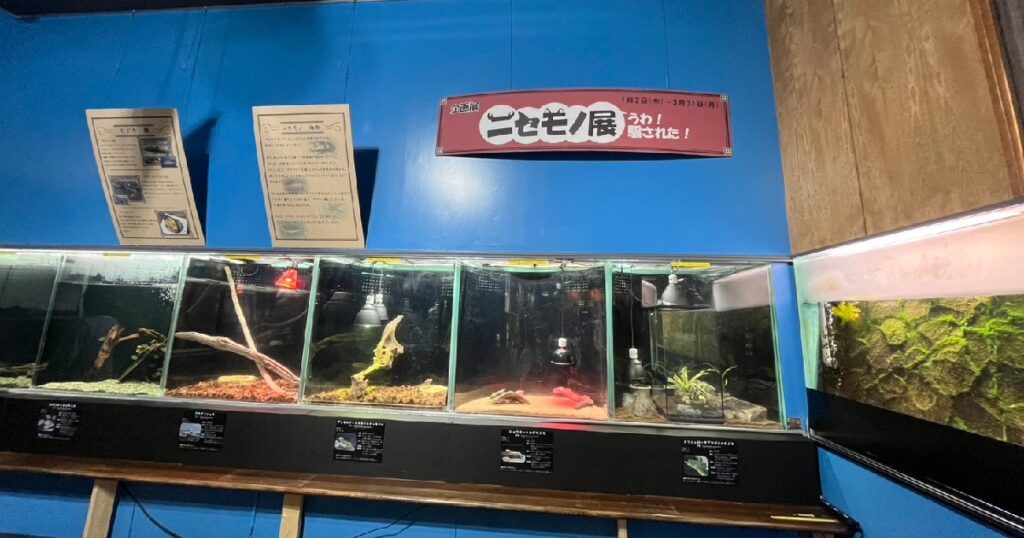 ニセモノ展と水槽