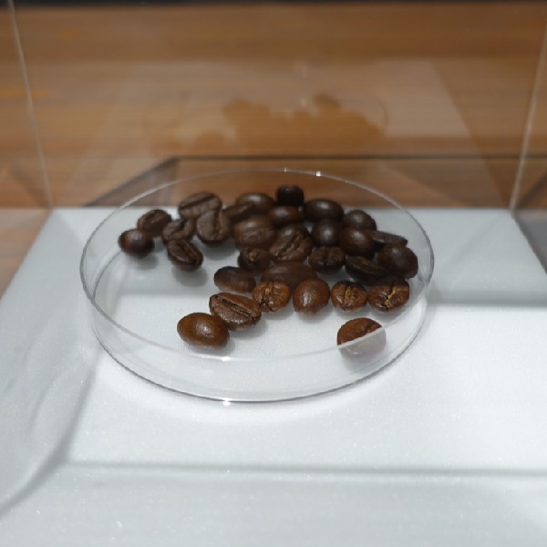 コピ・ルアクのコーヒー豆