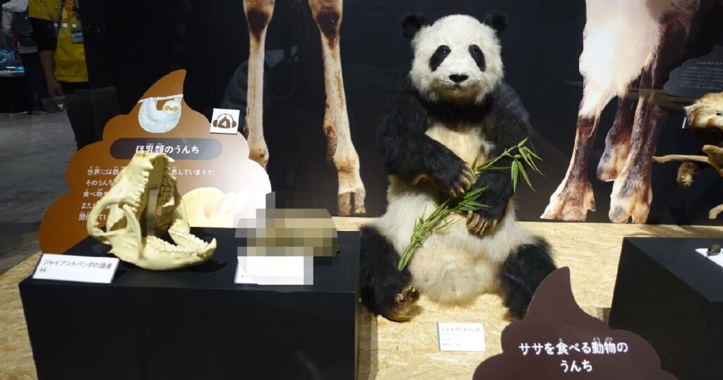 ジャイアントパンダの剥製と横にあるうんち
