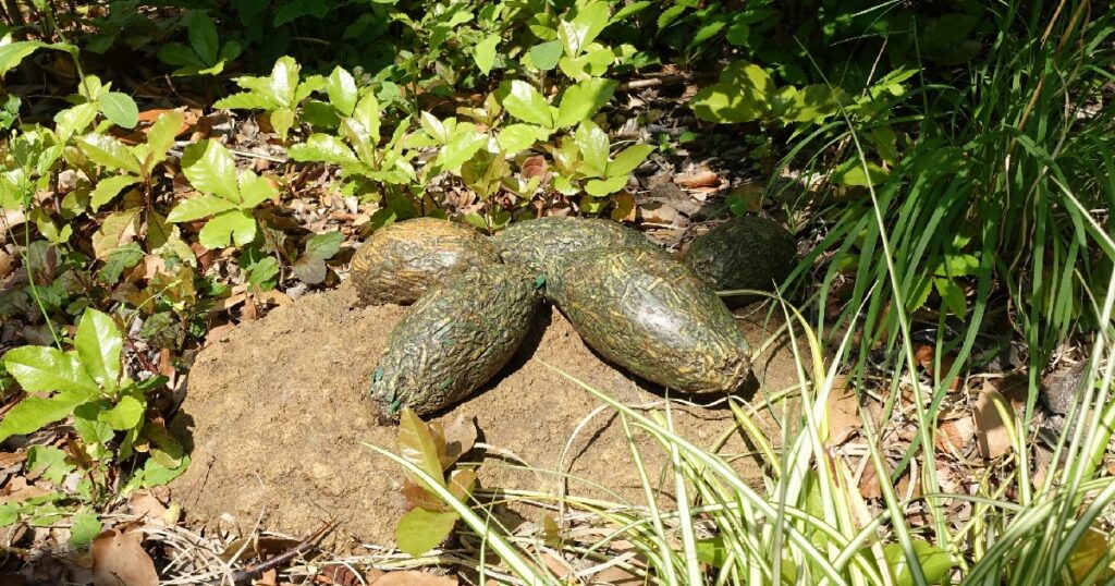 野生のジャイアントパンダのうんちのレプリカ 2025年5月13日上野動物園にて撮影