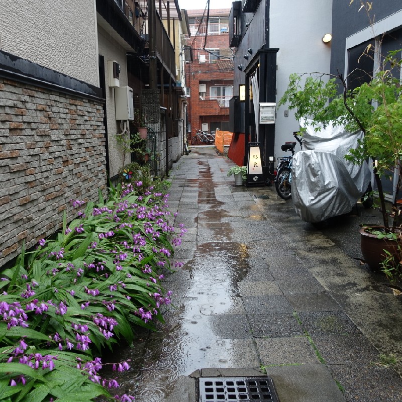 お店の前の細い路地の様子