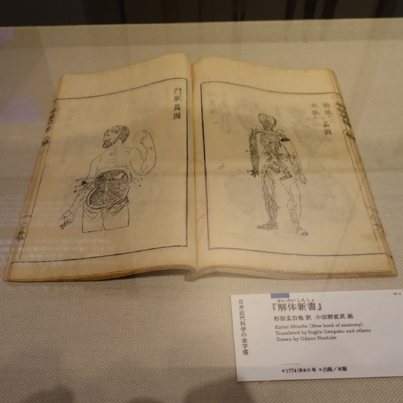 『解体新書 (1774年)』 杉田玄白など