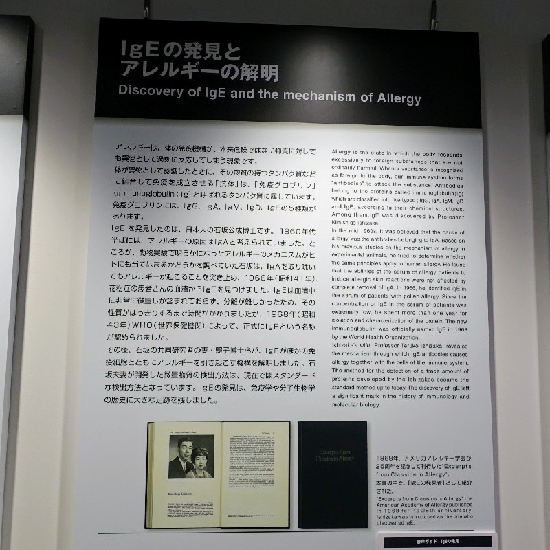 『IgEの発見とアレルギーの解明』の説明文