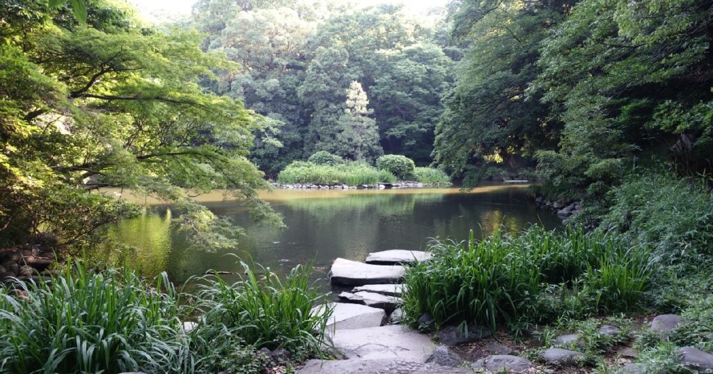 三四郎池の閑静な風景