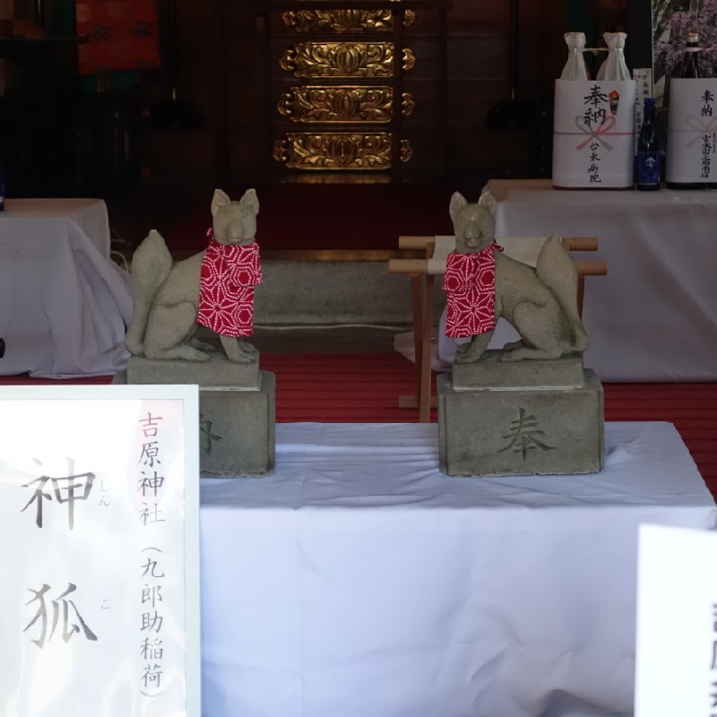 本殿の中には『神狐様』