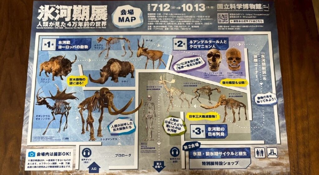 『氷河期展』の会場地図