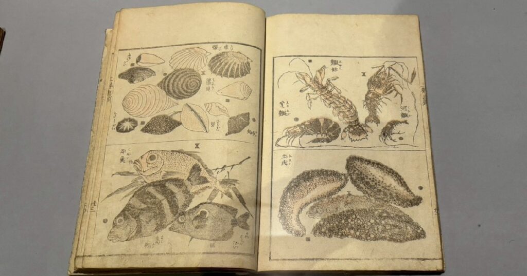 『三体画譜』(1816年) 貝、魚、甲殻類、ナマコなどの図