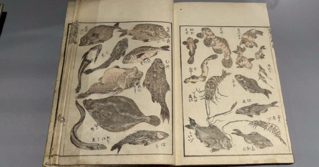 『北斎漫画』十編 多種多様な魚たち
