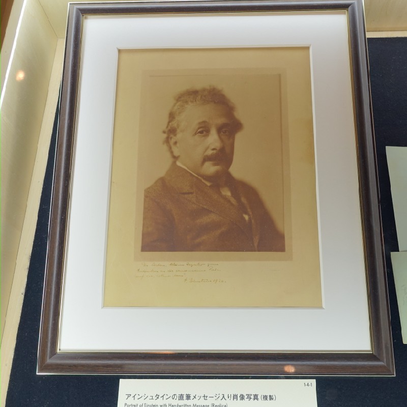 アインシュタインの肖像