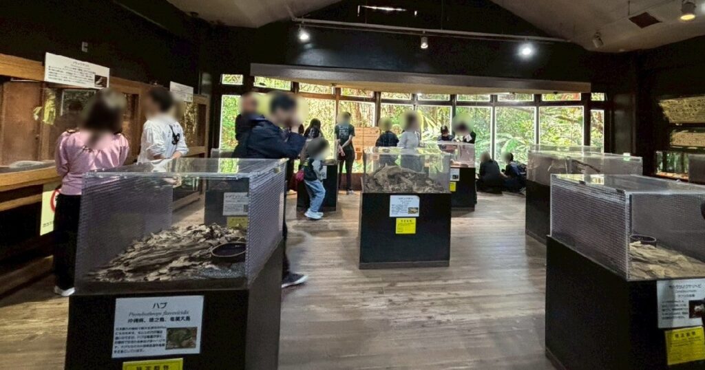 《毒ヘビコーナー》　と賑わっている様子