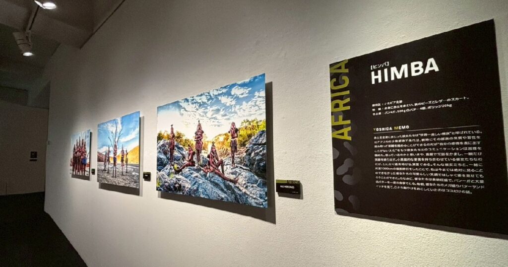 ナミビアのヒンバ族