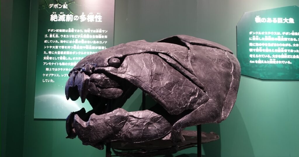 『ダンクルオステウス』の頭部の復元模型