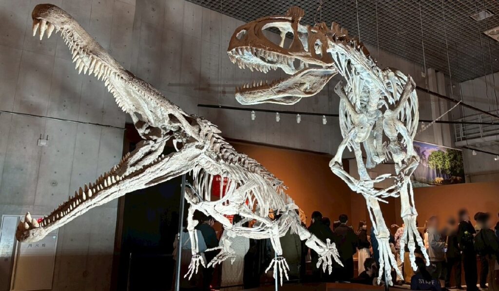 『レドンダサウルス(左)』と『クリオロフォサウルス(右)』