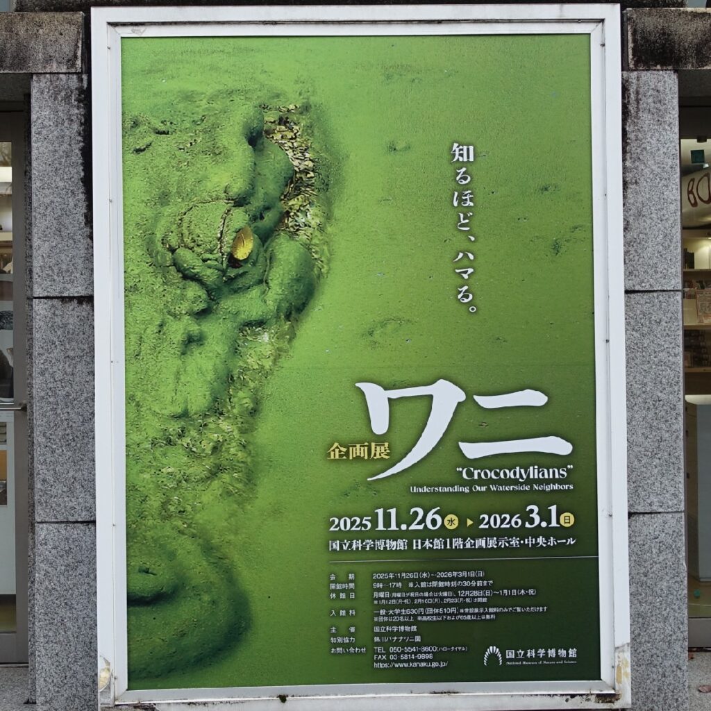 企画展『ワニ』の大きな看板　イリエワニの頭