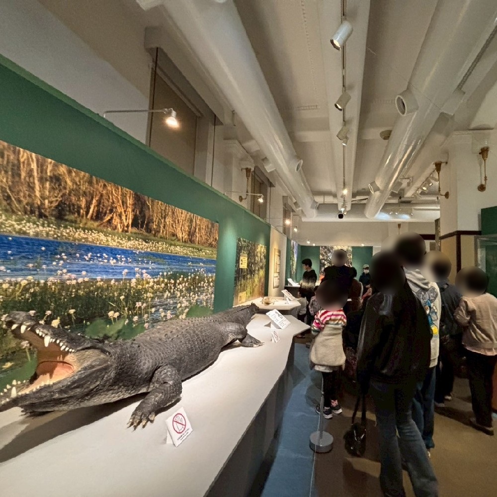 12月21日(日)16時頃の会場の様子　けっこう混雑している様子