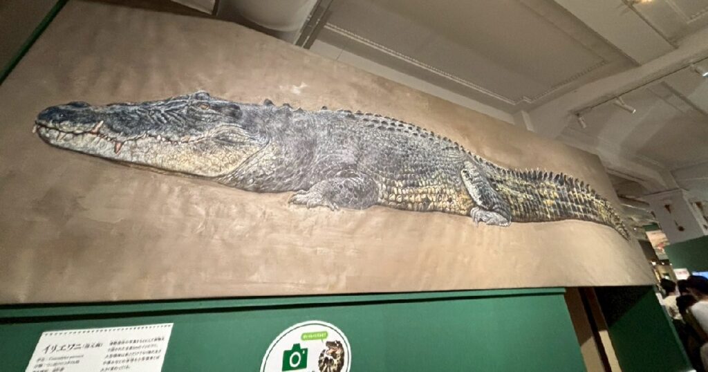 約５mの『イリエワニ』の復元画