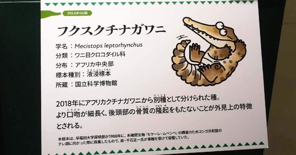 フクスクチナガワニのキャプション