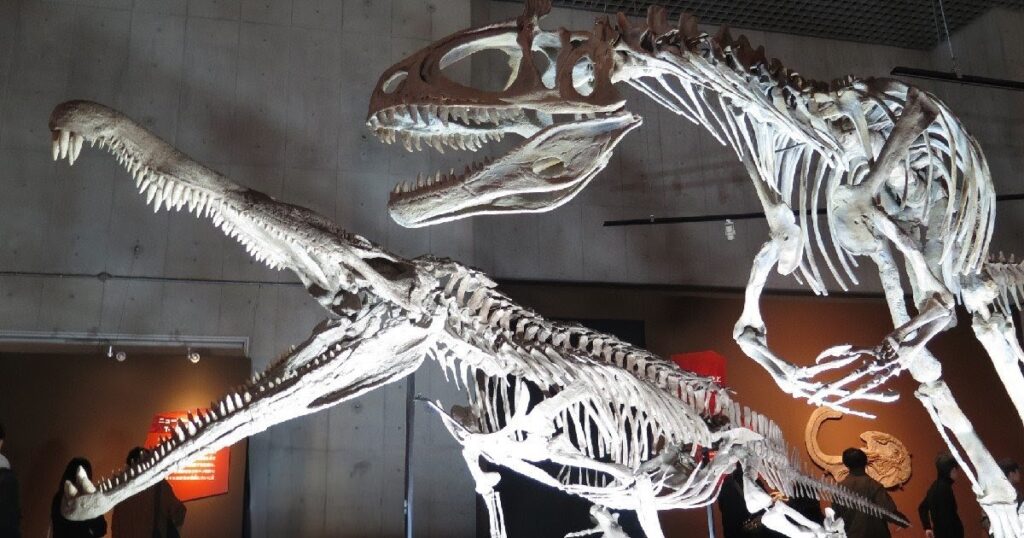 レドンダサウルスとクリオロフォサウルス