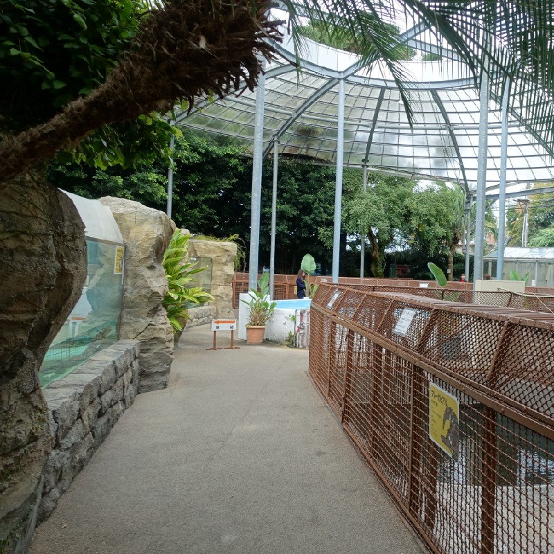 【本園・ワニ園】の展示の様子 道幅は広い