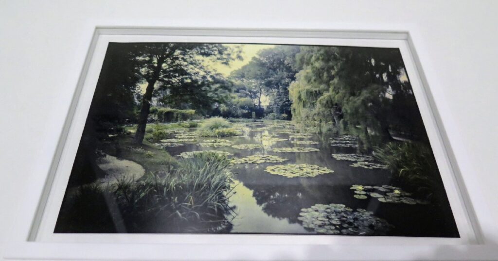 写真　No.110 作者不詳《ジヴェルニーの睡蓮の庭》1921年