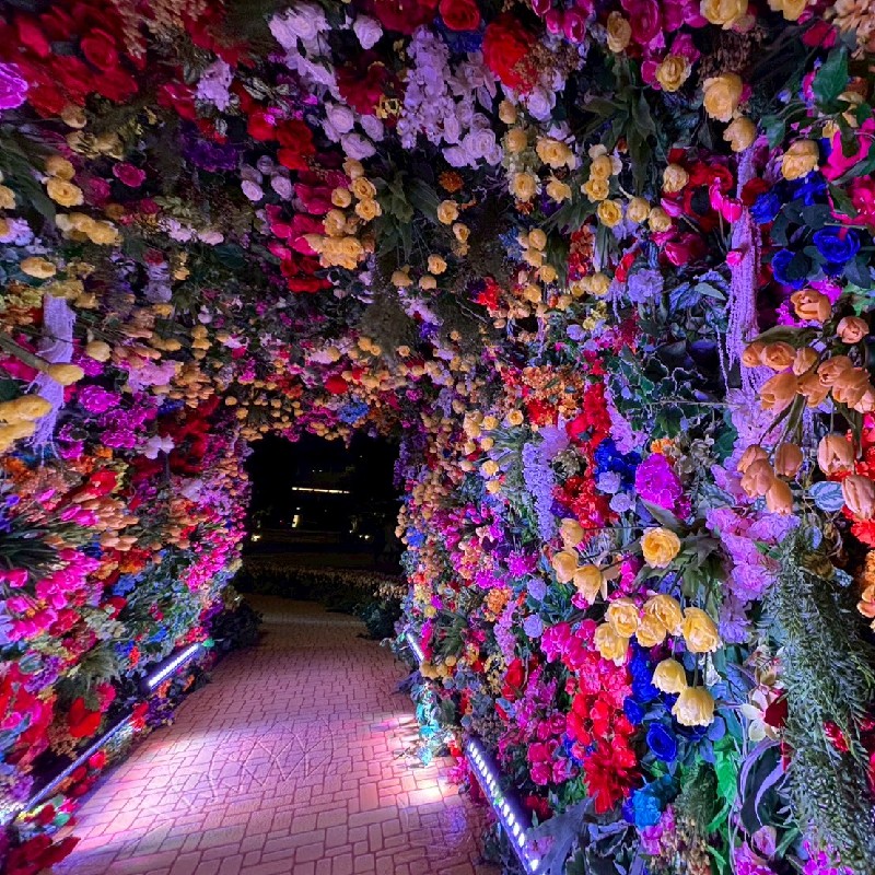 フラワードーム内部の鮮やかな様子