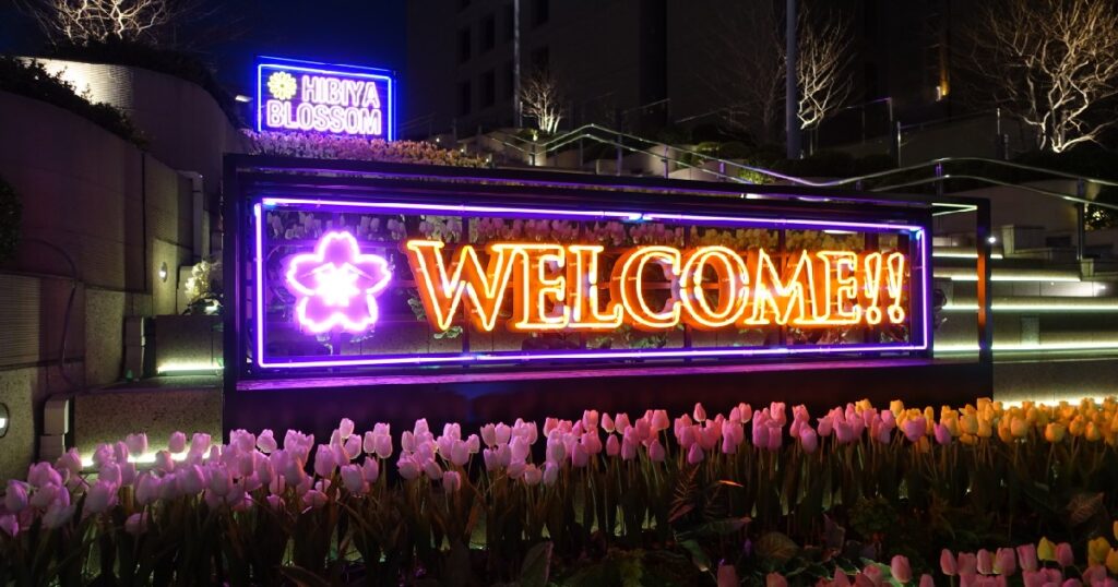 チューリップとネオンの光