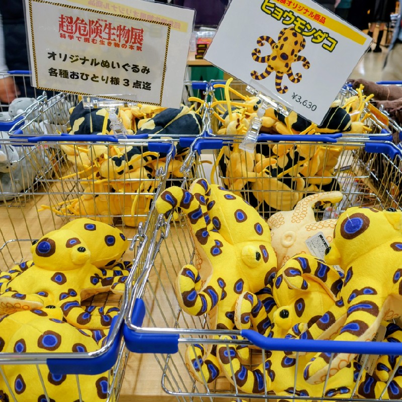 『ヒョウモンダコ』のぬいぐるみ3,630円