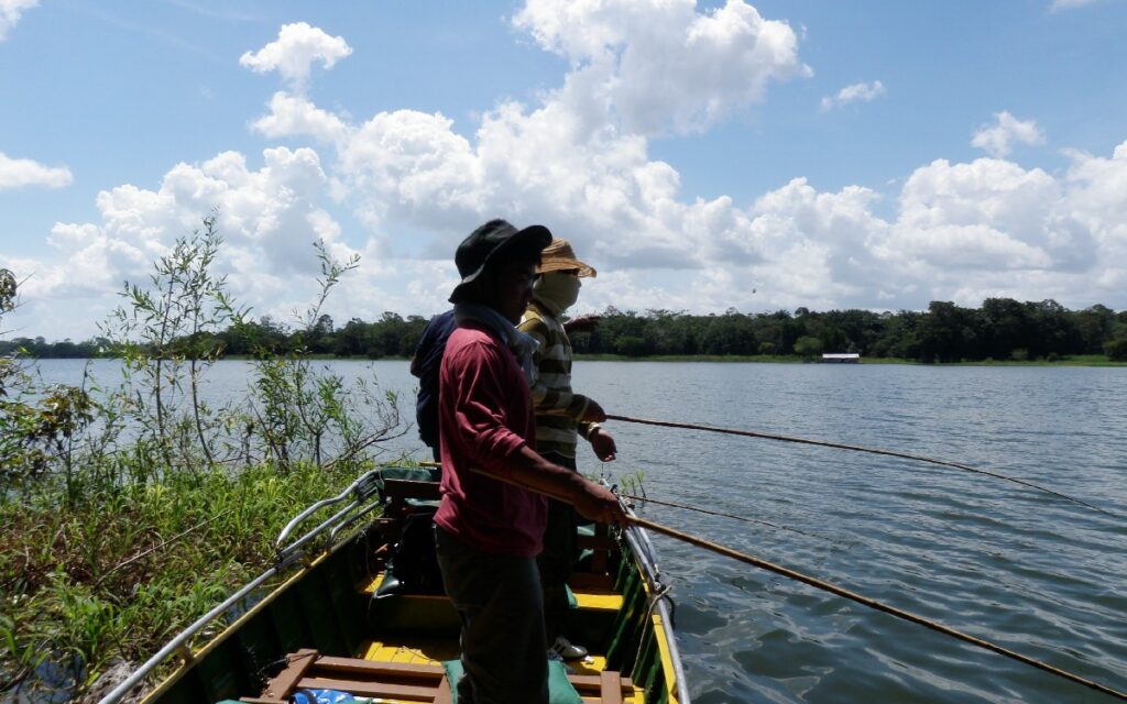 アマゾン川でピラニア釣りをする様子