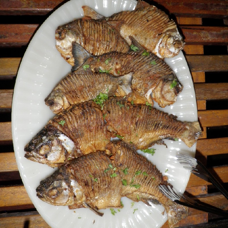 ピラニアのフライ　美味しく頂きました