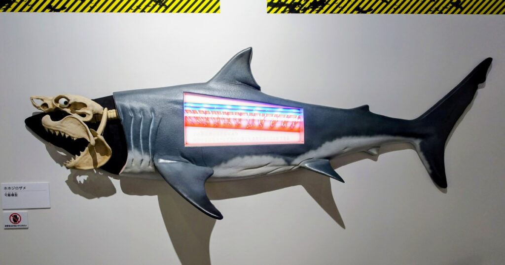 顎が飛び出す『ホホジロザメ』の可動模型