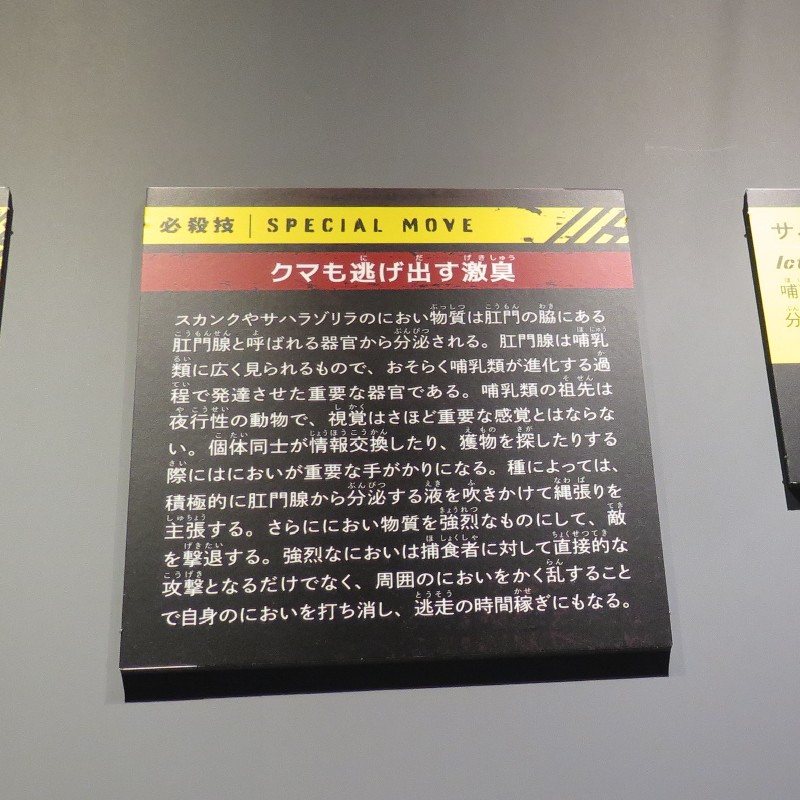 必殺技『クマも逃げ出す激臭』サハラリゾラ