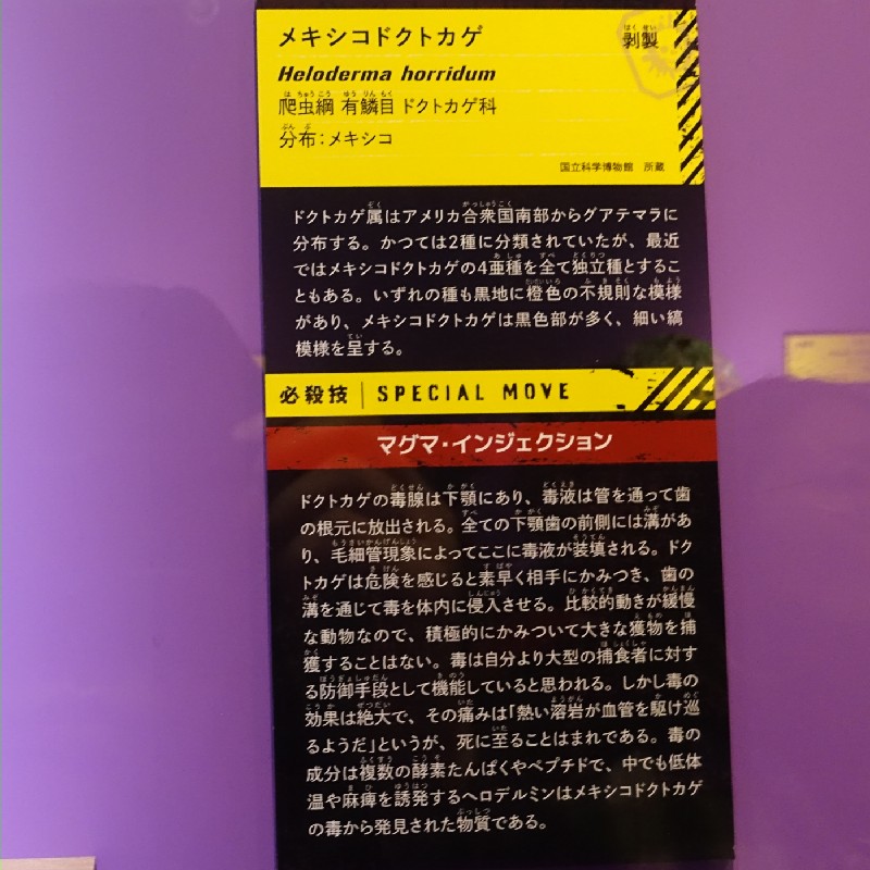 必殺技『マグマ・インジェクション』　メキシコドクトカゲ