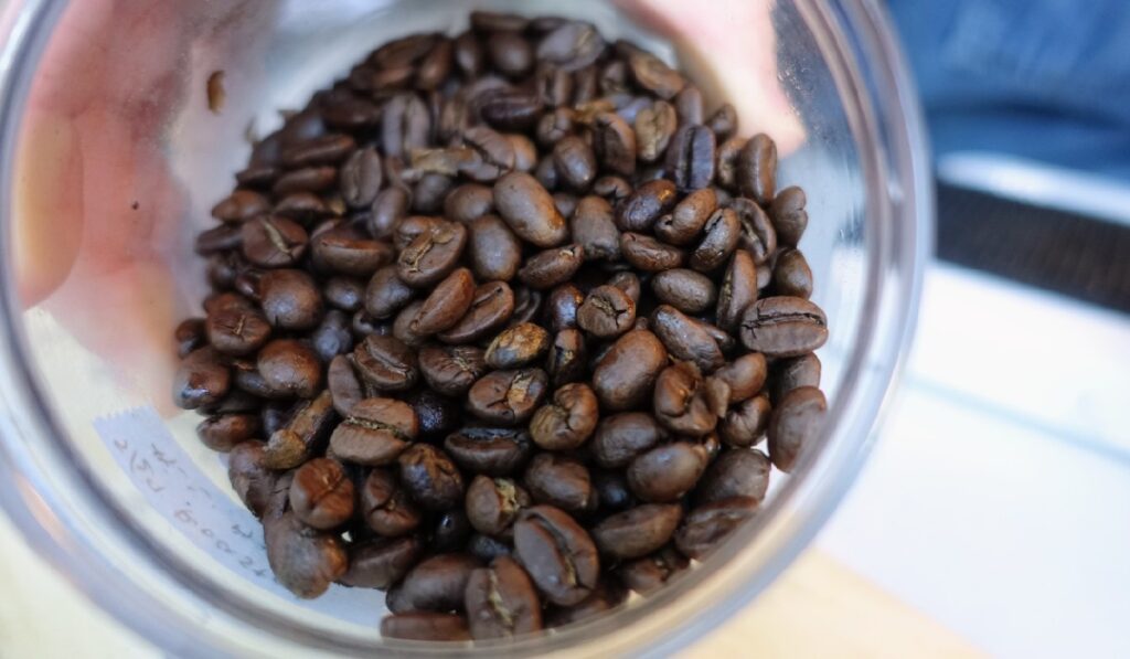 ラオスのコーヒー豆