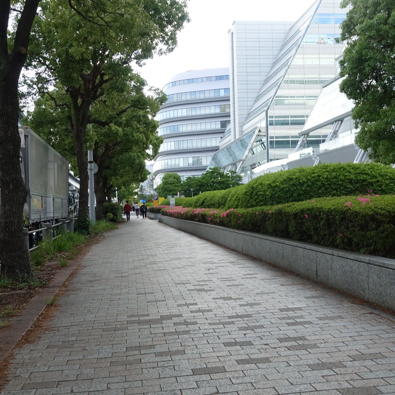 駅から東京ドリームパークへの道中