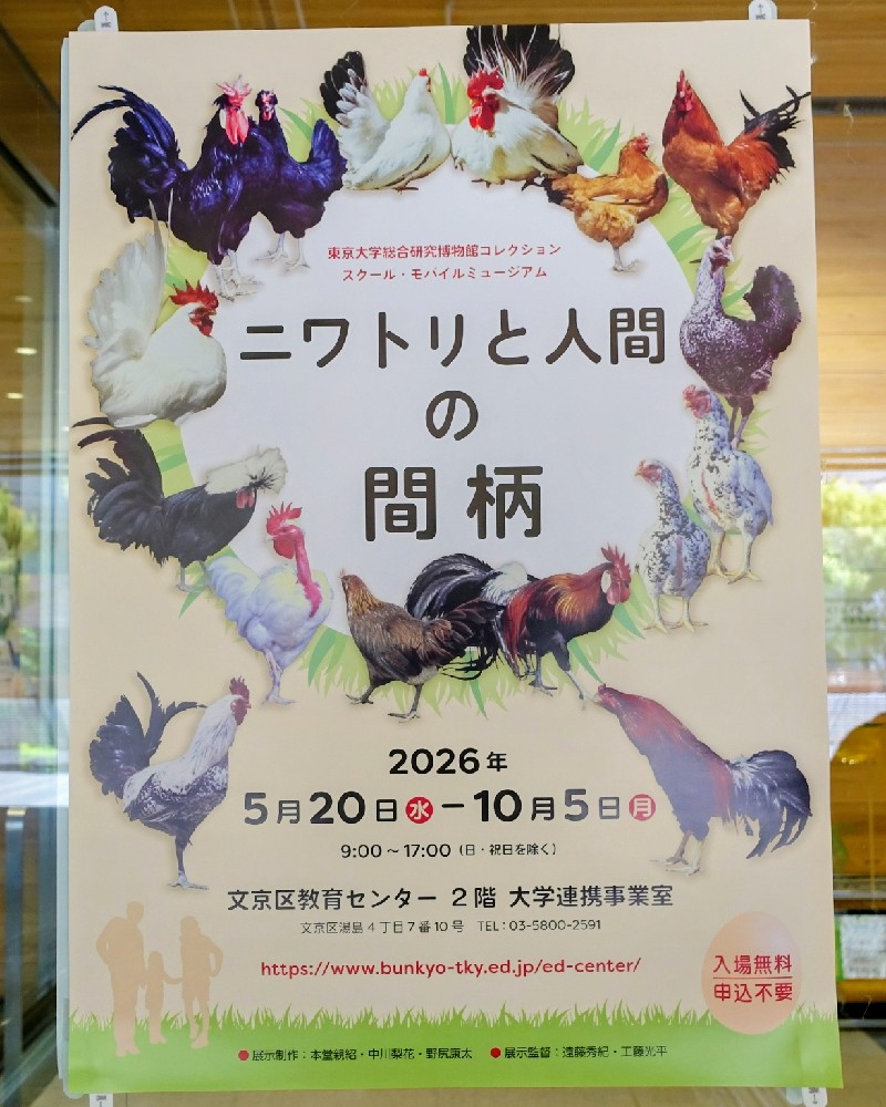 人間とニワトリの間柄展のポスター
