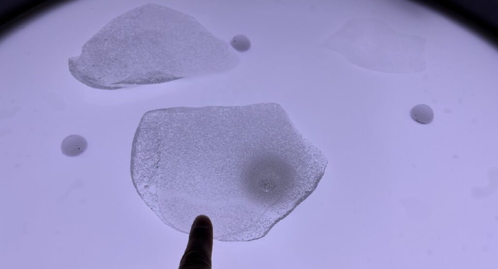 南極の氷にタッチする様子
細かな気泡も観察できる