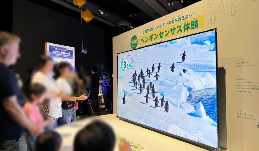 『ペンギンセンサス体験』