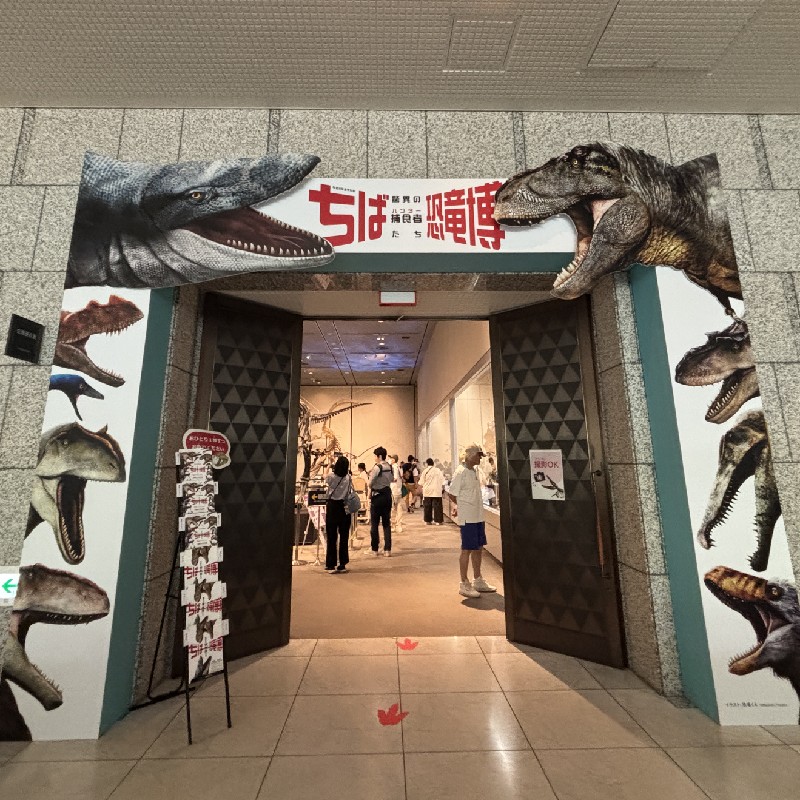 特別展の入口の様子