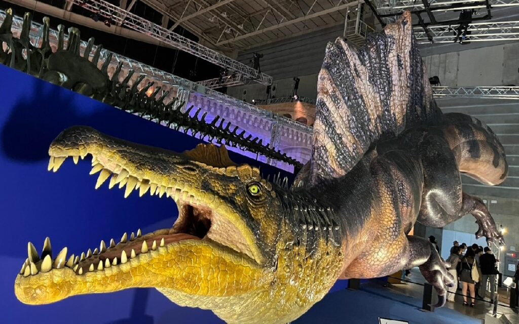 『スピノサウルス』の復元模型　パシフィコ横浜で開催された『巨大恐竜展2024』にて