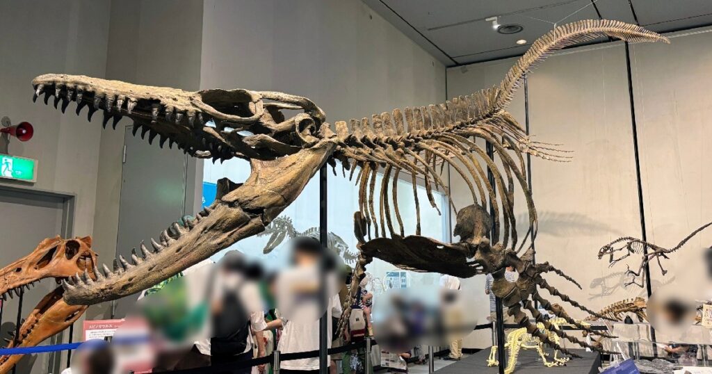 全長11mものモササウルスの全身骨格