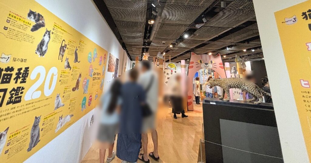 企画展『猫のすゝめ』の12時20分頃の会場の様子