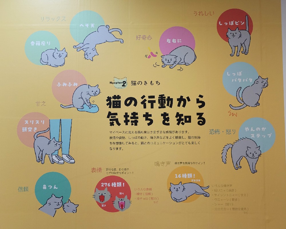 行動からネコの気持ち知る展示