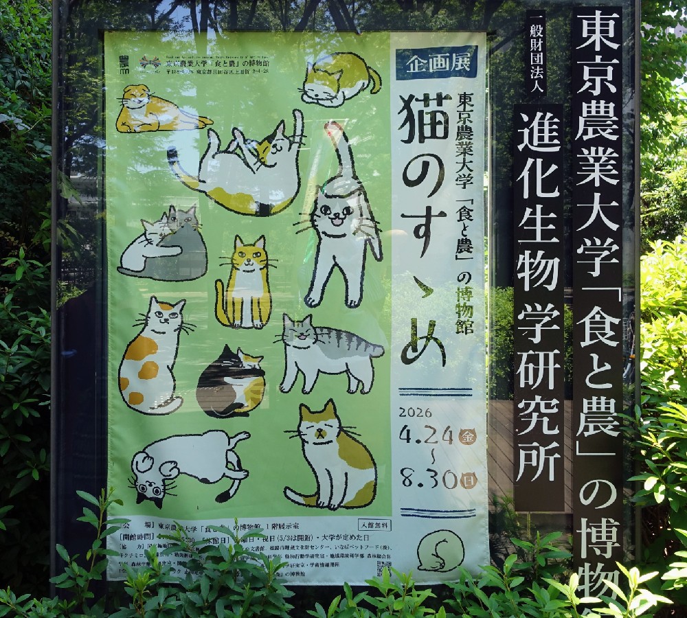 博物館前にある『ねこのすゝめ』展のポスター