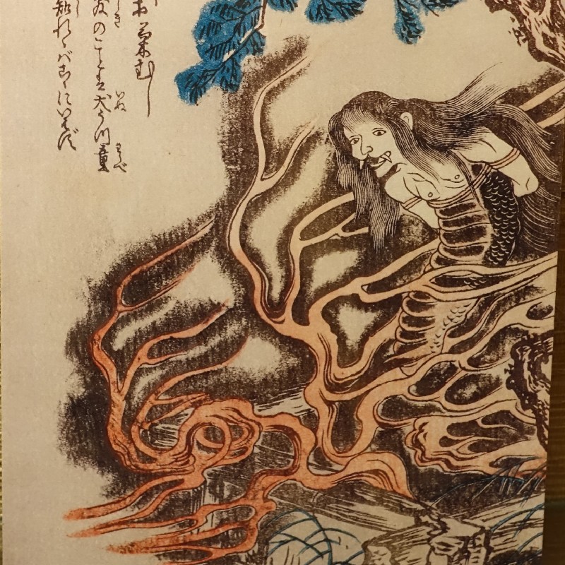 『於菊虫(おきくむし)』　『絵本百物語(1841年)』
お菊さんが虫になっちゃった！