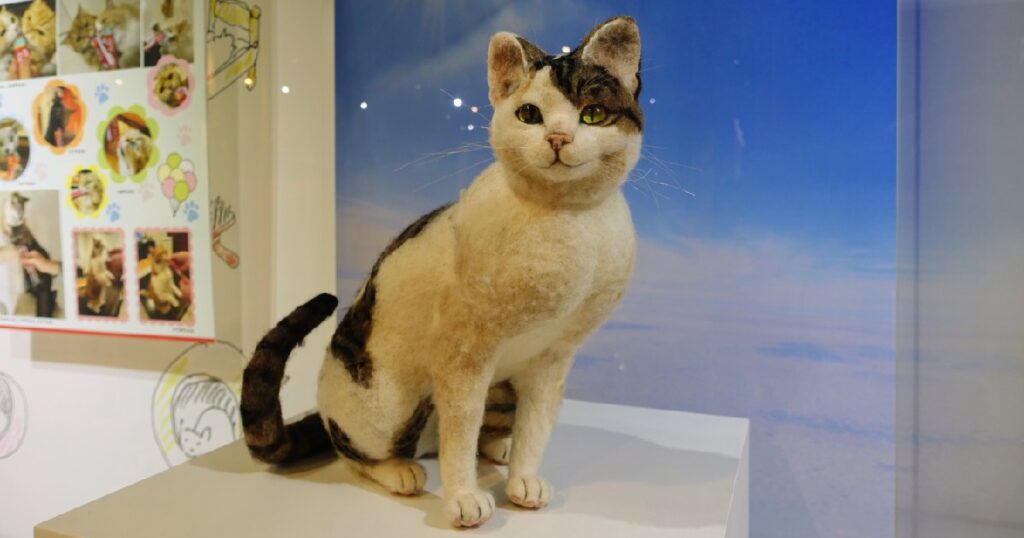 フェルト製の南極ネコ『たけし』
珍しいオスの三毛猫じゃ!