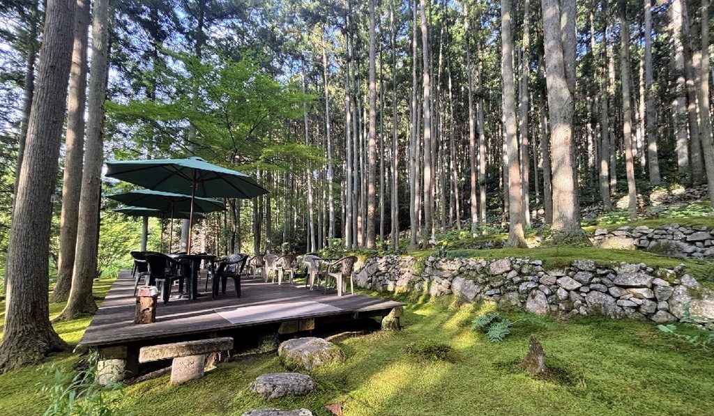 苔に囲まれた林の中でカフェタイム！
棚田を利用した独特な風景に囲まれる